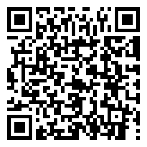 Negozio edo tokiko QR edo bidi kodea