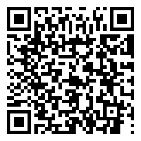 codice QR o Bidi dell'attività commerciale o luogo