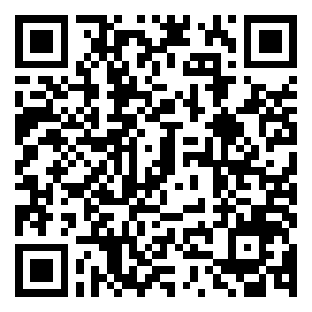 Negozio edo tokiko QR edo bidi kodea