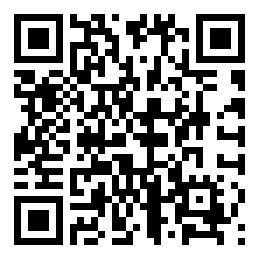 Negozio edo tokiko QR edo bidi kodea