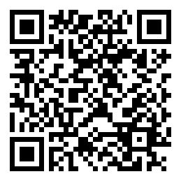 Negozio edo tokiko QR edo bidi kodea
