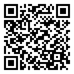 Negozio edo tokiko QR edo bidi kodea