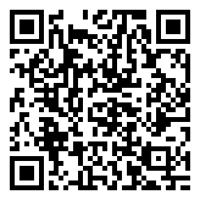 Negozio edo tokiko QR edo bidi kodea