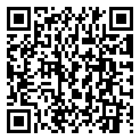Negozio edo tokiko QR edo bidi kodea