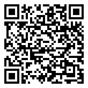 Negozio edo tokiko QR edo bidi kodea