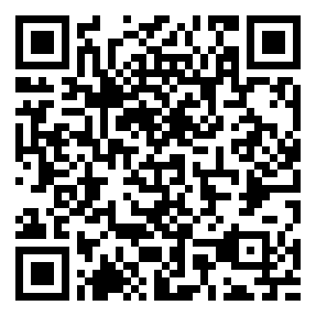 Negozio edo tokiko QR edo bidi kodea