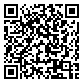 Negozio edo tokiko QR edo bidi kodea
