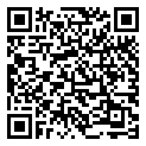 Negozio edo tokiko QR edo bidi kodea
