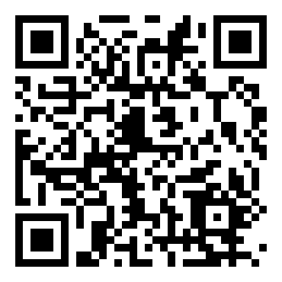 Negozio edo tokiko QR edo bidi kodea