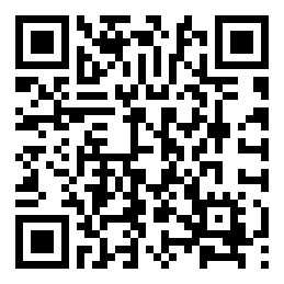 codice QR o Bidi dell'attività commerciale o luogo
