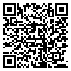 Negozio edo tokiko QR edo bidi kodea