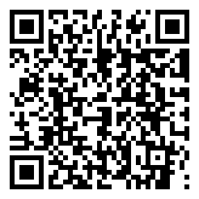 codice QR o Bidi dell'attività commerciale o luogo