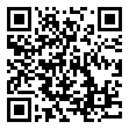 codice QR o Bidi dell'attività commerciale o luogo