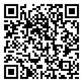 Negozio edo tokiko QR edo bidi kodea