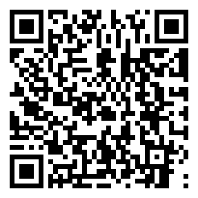 Negozio edo tokiko QR edo bidi kodea