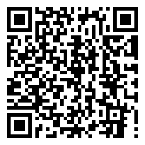 Negozio edo tokiko QR edo bidi kodea