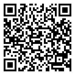 Negozio edo tokiko QR edo bidi kodea