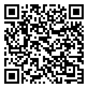 Negozio edo tokiko QR edo bidi kodea