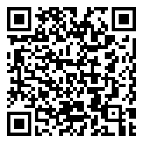 Negozio edo tokiko QR edo bidi kodea