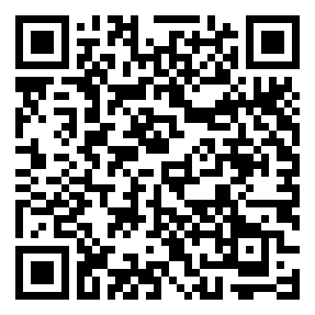 Negozio edo tokiko QR edo bidi kodea