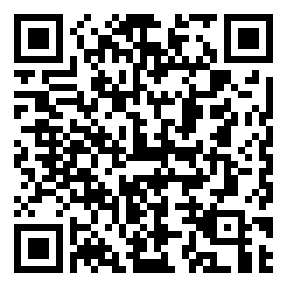 Negozio edo tokiko QR edo bidi kodea