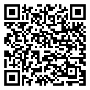 Negozio edo tokiko QR edo bidi kodea
