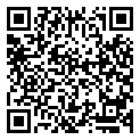 Negozio edo tokiko QR edo bidi kodea