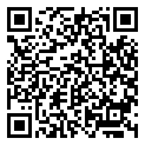Negozio edo tokiko QR edo bidi kodea
