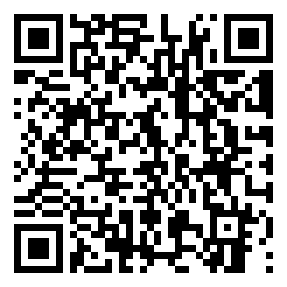 Negozio edo tokiko QR edo bidi kodea