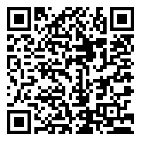 Negozio edo tokiko QR edo bidi kodea