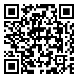 Negozio edo tokiko QR edo bidi kodea