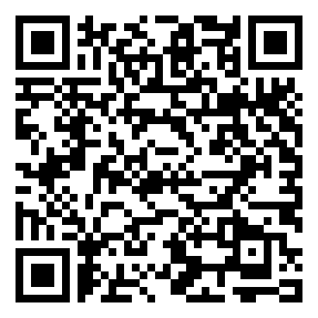 Negozio edo tokiko QR edo bidi kodea