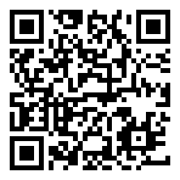 Negozio edo tokiko QR edo bidi kodea